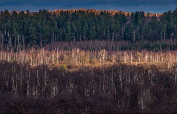 Fotografska oprema