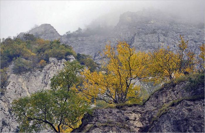 Fotografska oprema