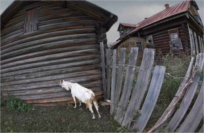 Brezzrcalni fotoaparati